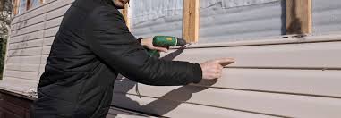 Best Vinyl Siding Installation  in East Niles, CA